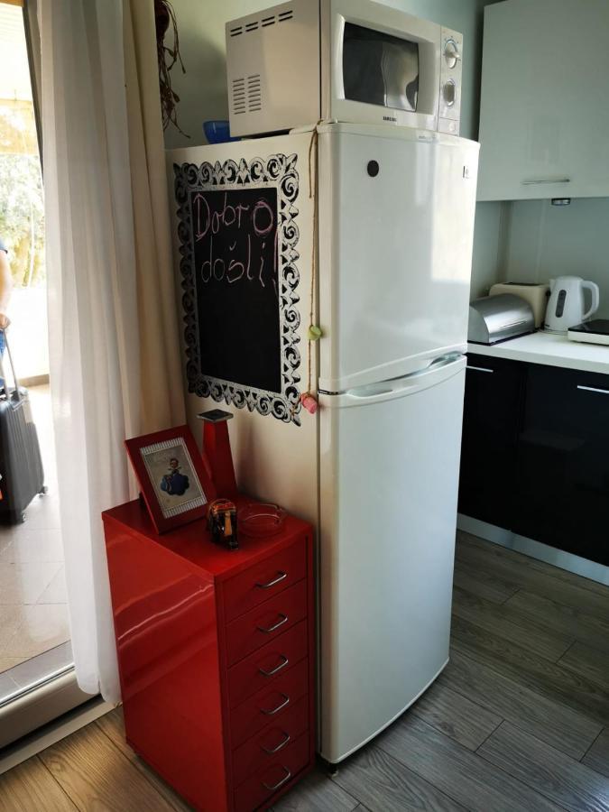 Studio Apartment Rosemary Ровинь Экстерьер фото